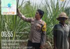 Polsek Kendit Dukung Program Asta Cita Presiden, Bhabinkamtibmas Sambangi Petani Tebu di Desa Balung
