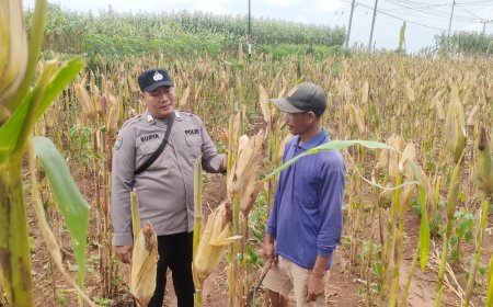 Sinergitas Polsek Sumbermalang dan Warga dalam Program Ketahanan Pangan Berkelanjutan