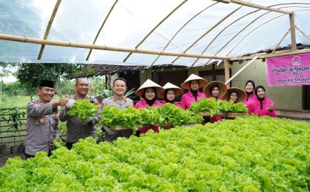 Ubah Lahan Kantor Jadi Produktif, Kapolres Situbondo dan Ketua Bhayangkari Pamer Hasil Kebun Hidroponik di Polsek Kendit