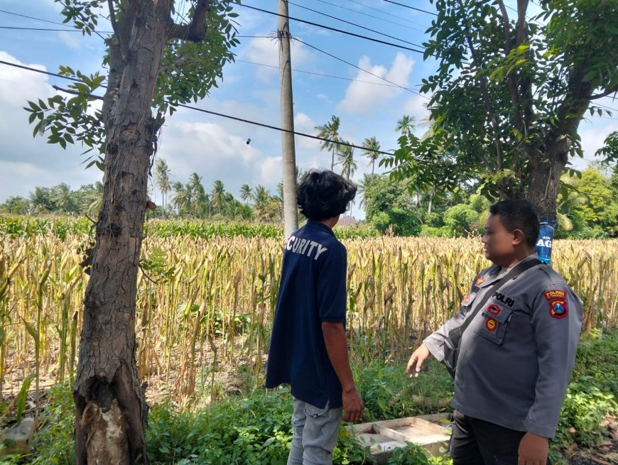 Polsek Arjasa Implementasikan Program Asta Cita Presiden Dukung Ketahanan Pangan