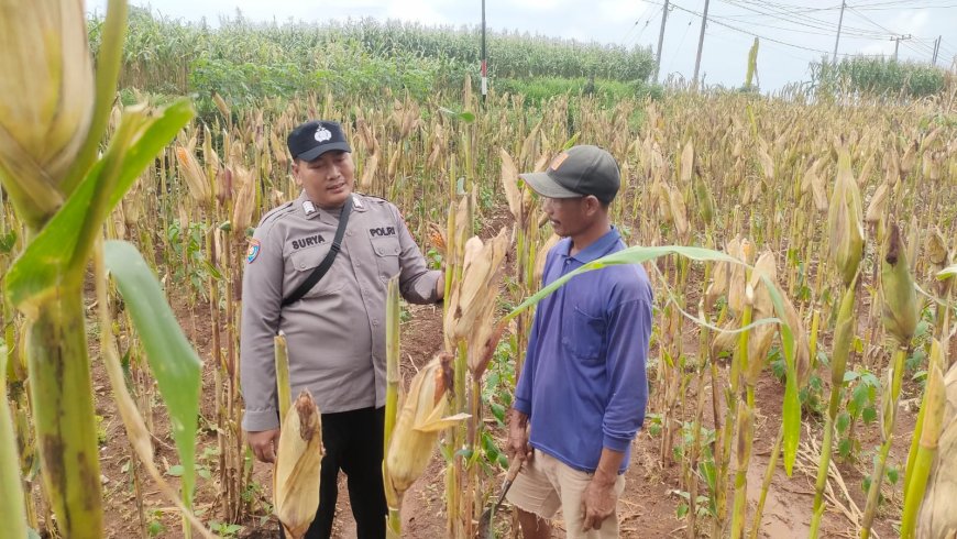 Sinergitas Polsek Sumbermalang dan Warga dalam Program Ketahanan Pangan Berkelanjutan