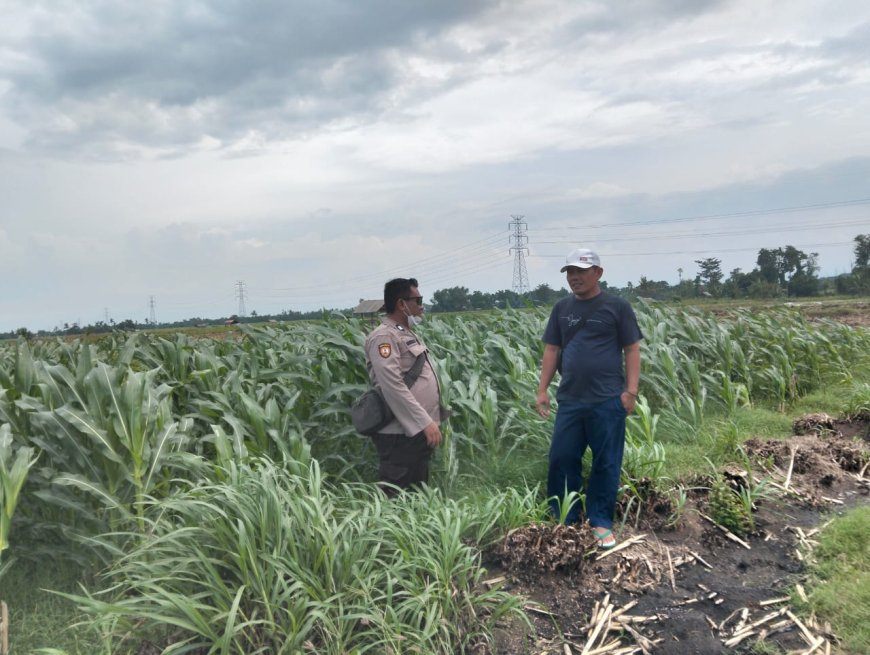 POLSEK ARJASA DUKUNG PROGRAM ASTA CITA PRESIDEN MELALUI MONITORING KETAHANAN PANGAN