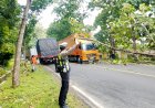 Personil Lantas Polsek Banyuputih Melaksanakan Pengaturan Lalu lintas dan Evakuasi Pohon Tumbang di Jalan Pantura TN Baluran