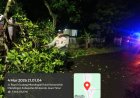 Polsek Mlandingan Quick Respon Evakuasi Pohon Tumbang, Akses Jalan Desa Kembali Lancar