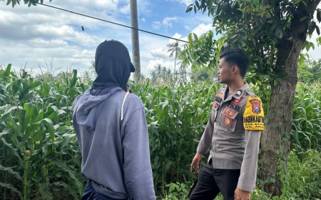Polsek Arjasa Dukung Asta Cita Presiden, Monitoring Tanaman Jagung di Desa Arjasa