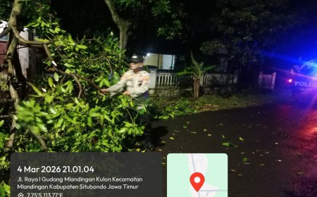 Polsek Mlandingan Quick Respon Evakuasi Pohon Tumbang, Akses Jalan Desa Kembali Lancar