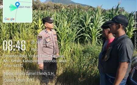 Polsek Kendit Dorong Ketahanan Pangan, Ajak Petani Terus Kembangkan Budidaya Jagung dan Tebu